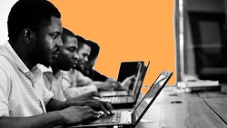 Website Development - Programming & IT